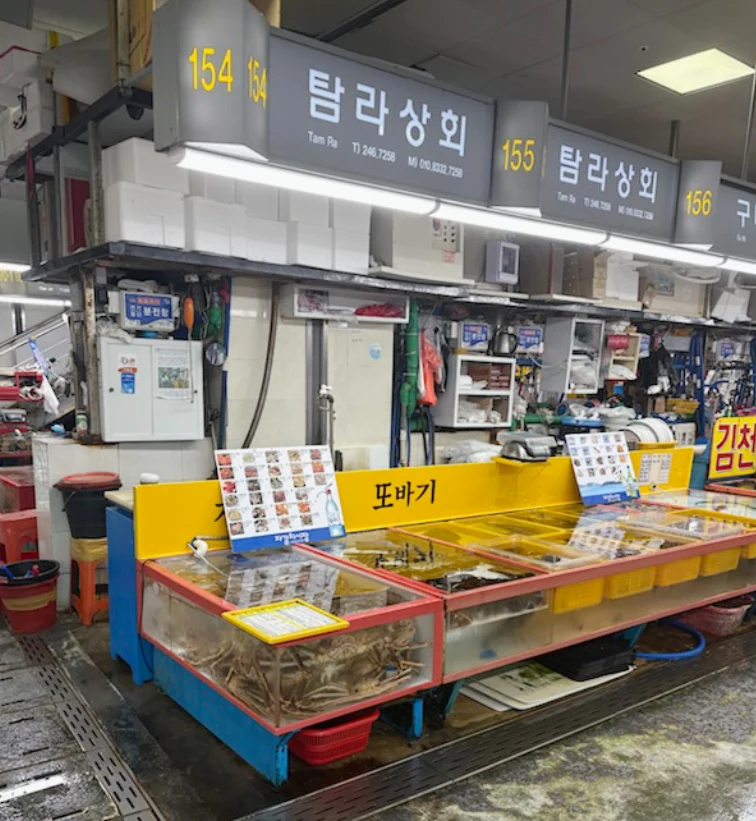 자갈치시장 안 탐라상회 좌판. 154·155 번호판과 상호 간판 아래 노란 카운터와 활어 수조가 놓여 있다.